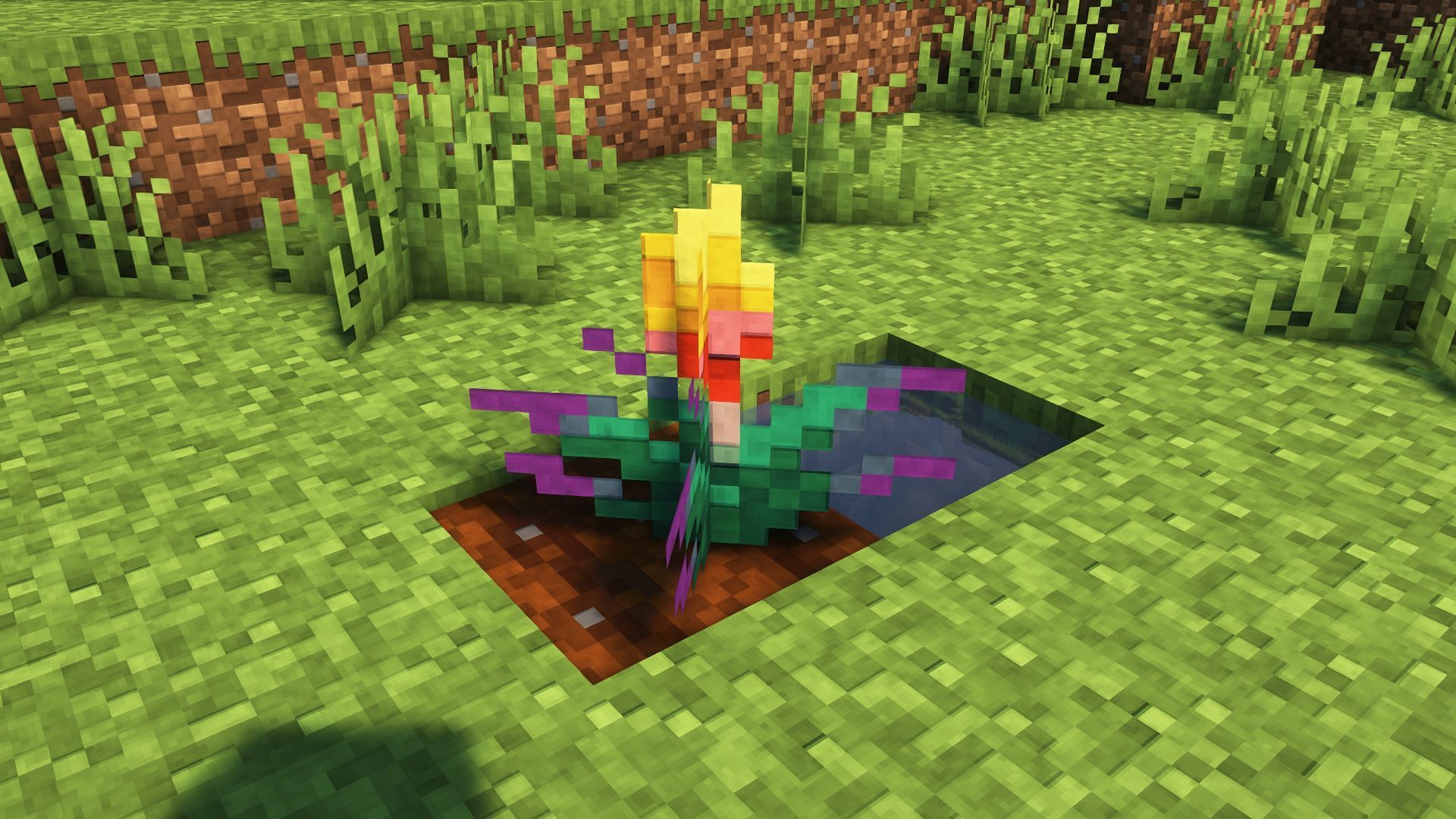 A torchflower growing on a farmland block (Image via Mojang)