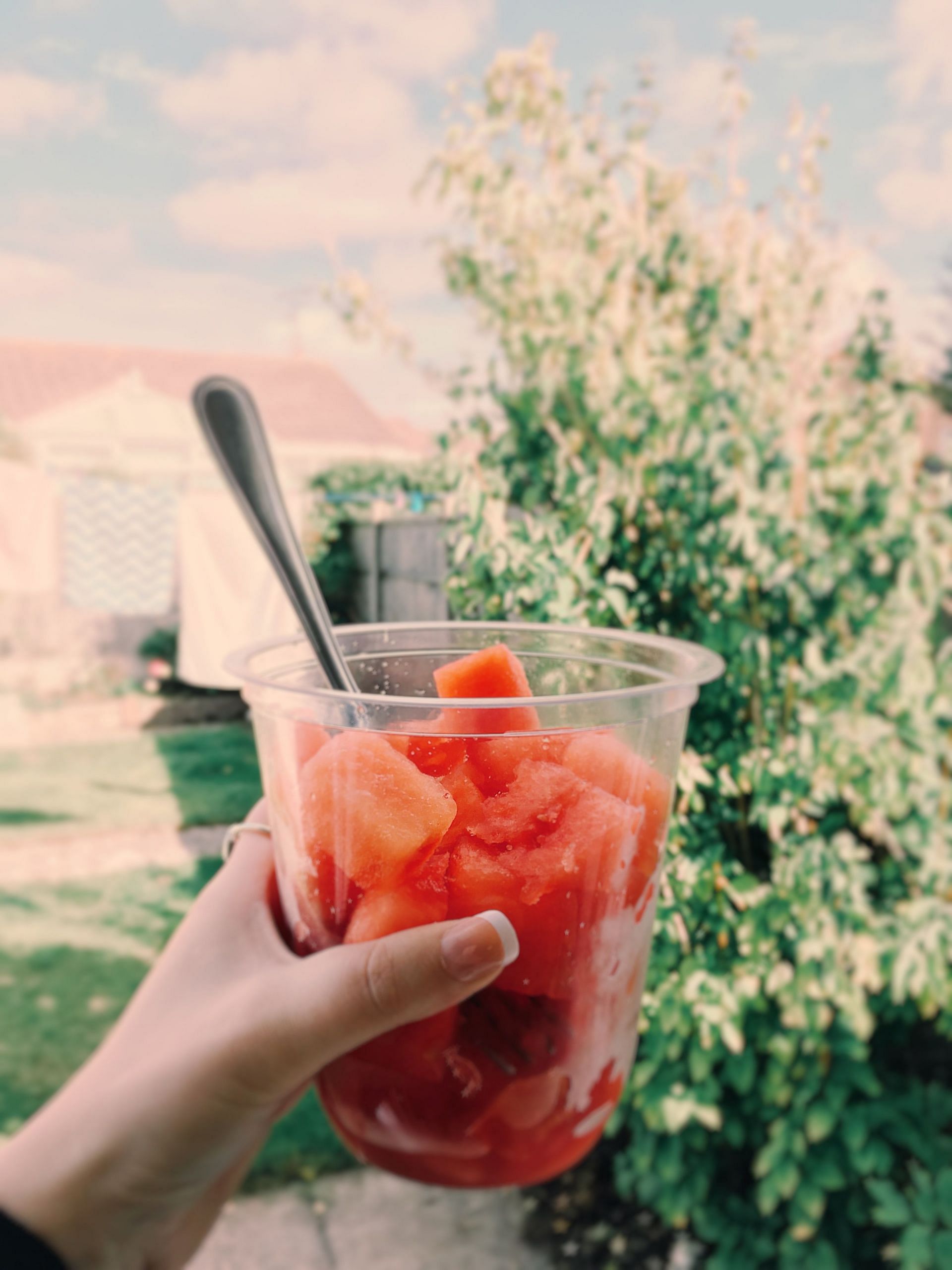 Watermelon cubes (Image via Pexels)