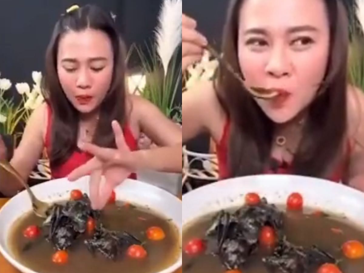 Thai YouTuber consumes bat soup (Image via Twitter)