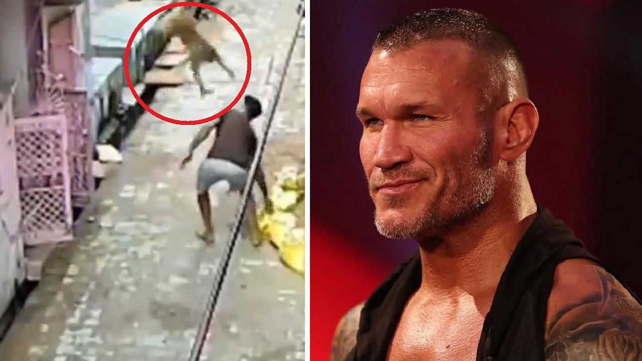 The viral clip shows a monkey attacking a man in India