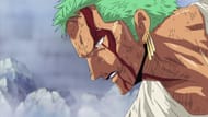 Zoro's sacrifice (Image via Toei animation)