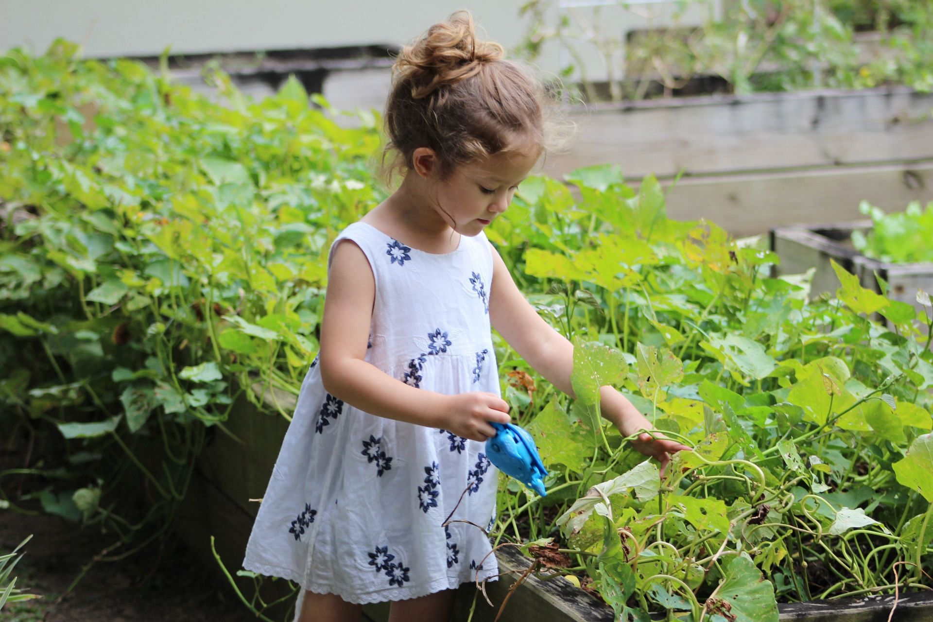 Spending time in nature can help to boost mood (Image via Pexels)