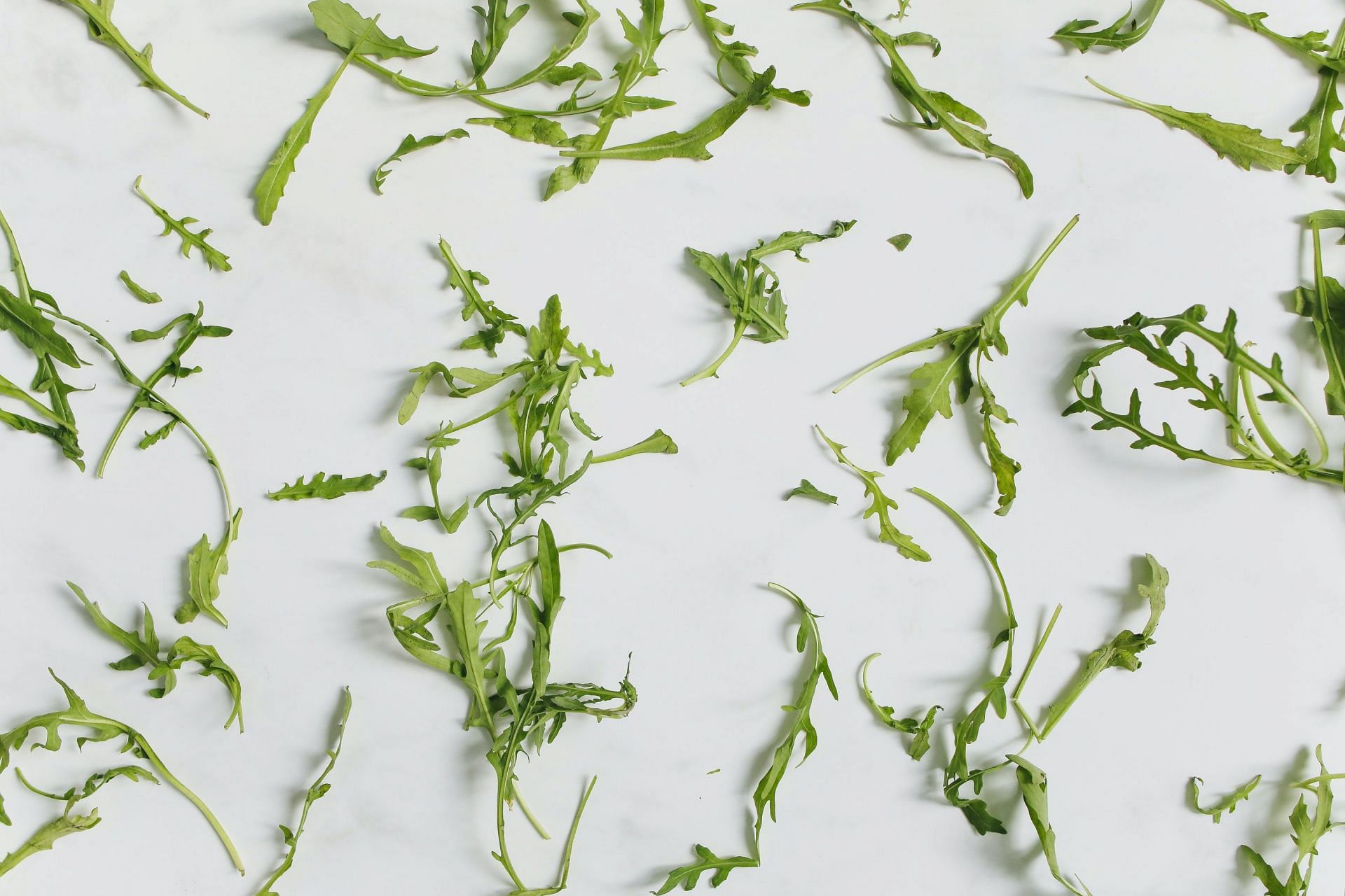 Everything you need to know about nutrition in arugula. (Image via Pexels / Polina Tankilevitch)