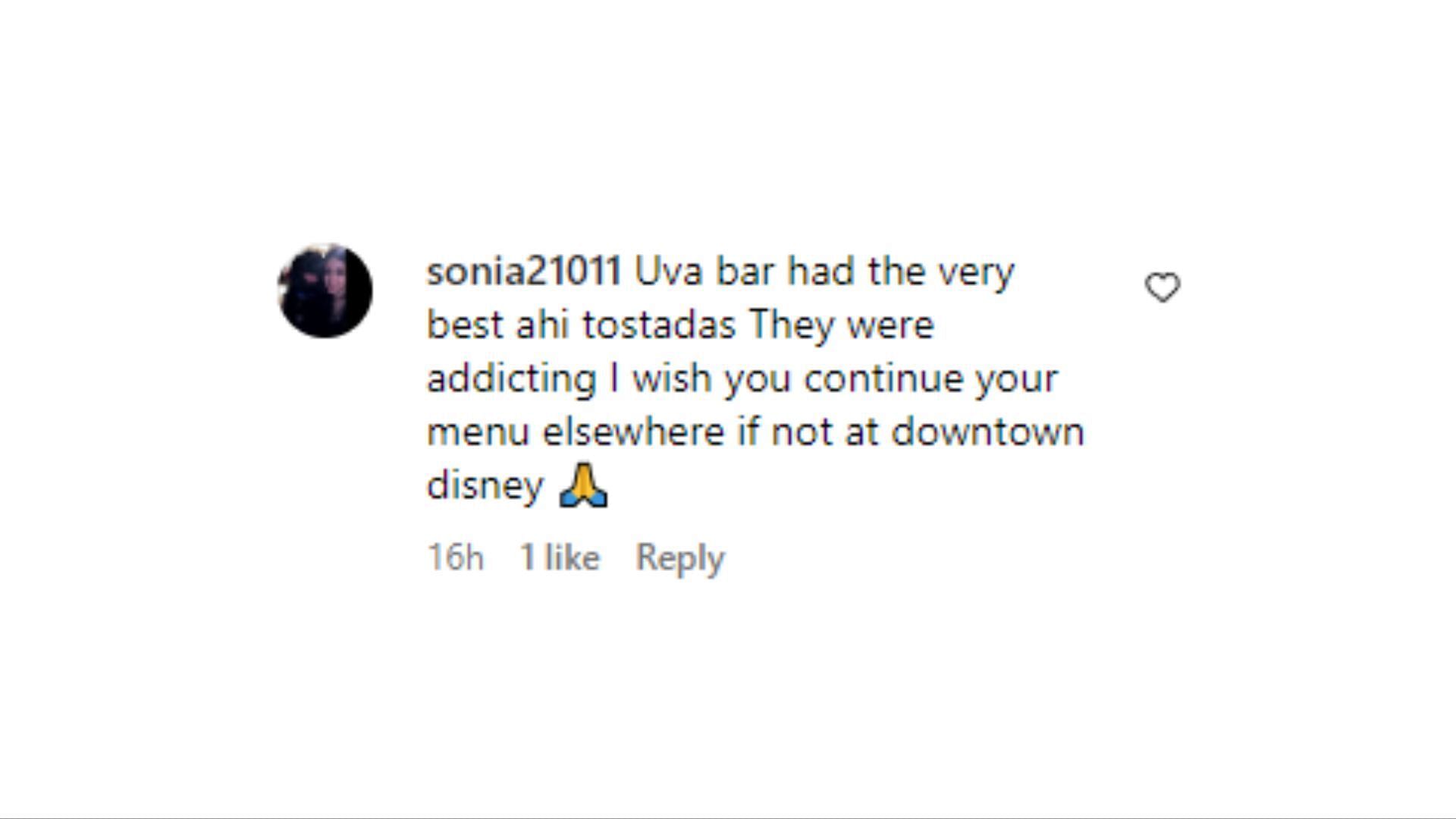 comment by the user @sonia21011 on Instagram (Image via Instagram)