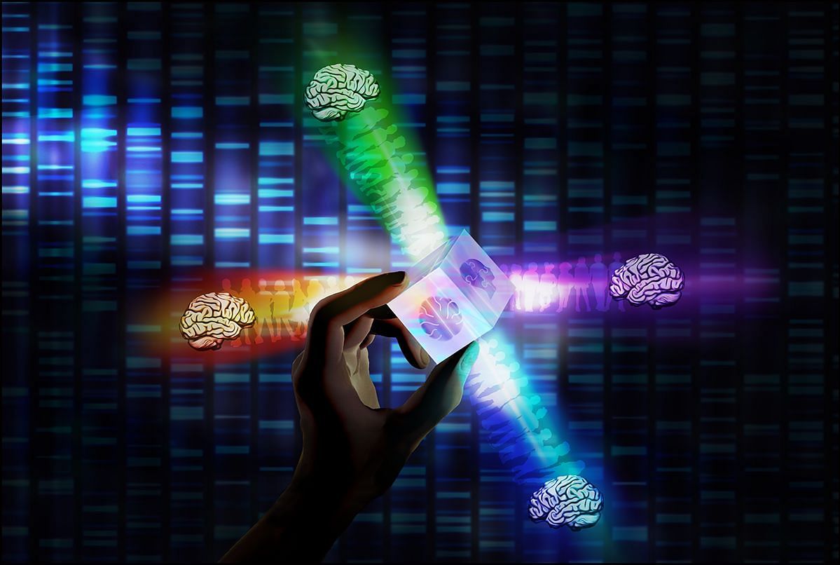 The results of the study showed that there were four distinct subtypes of autism based on differences in brain connectivity (Image via- amanda buch)