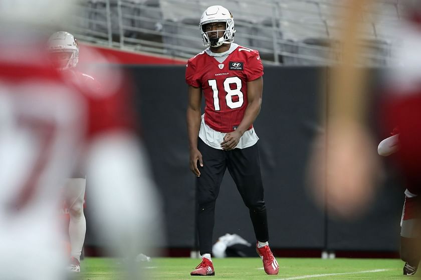 Cardinals Training Camp Standouts