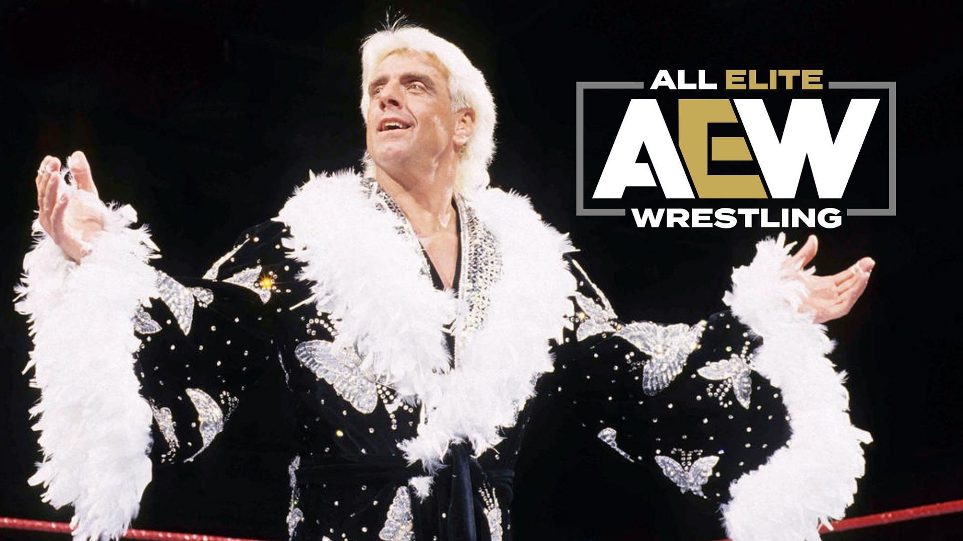 Ric Flair is considered one of the best wrestlers of all time.