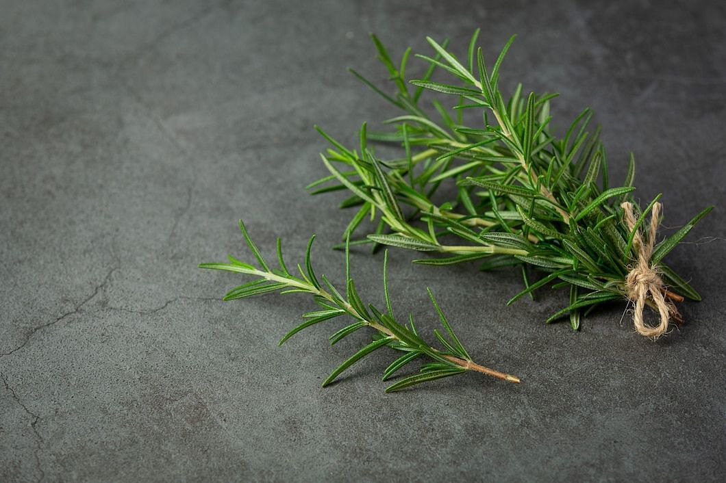 Echinacea, lavender, rosemary, and sage are other healing herbs (Image via Freepik/Jcomp)