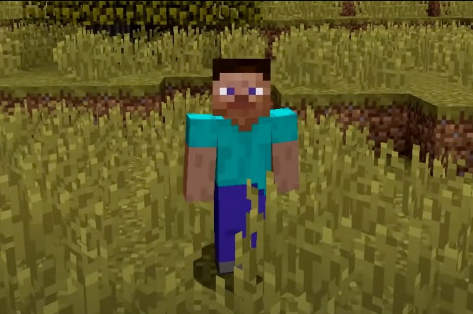 Who is Black Steve in Minecraft?