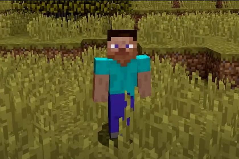 Game [Minecraft] Steve