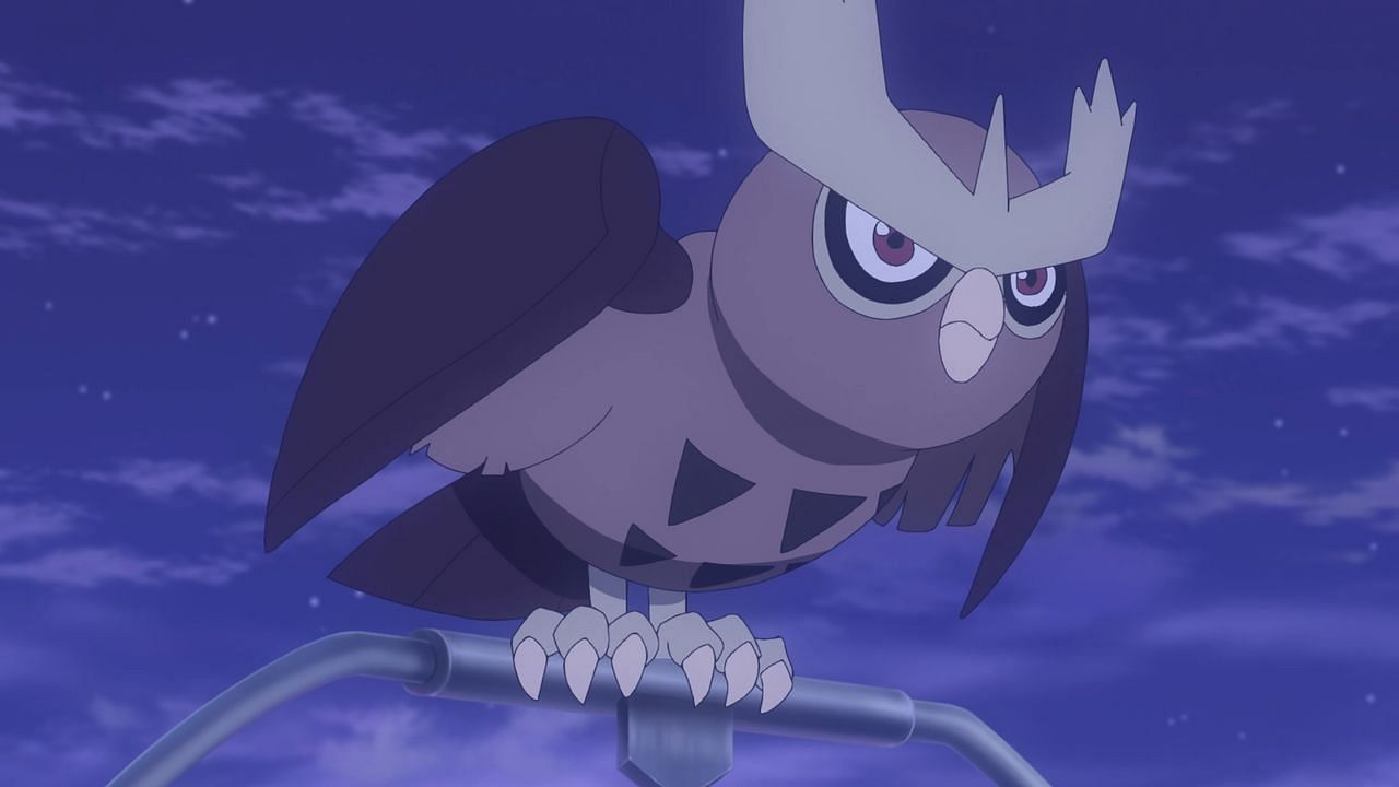 Noctowl as it appears in the anime (Image via The Pokemon Company)