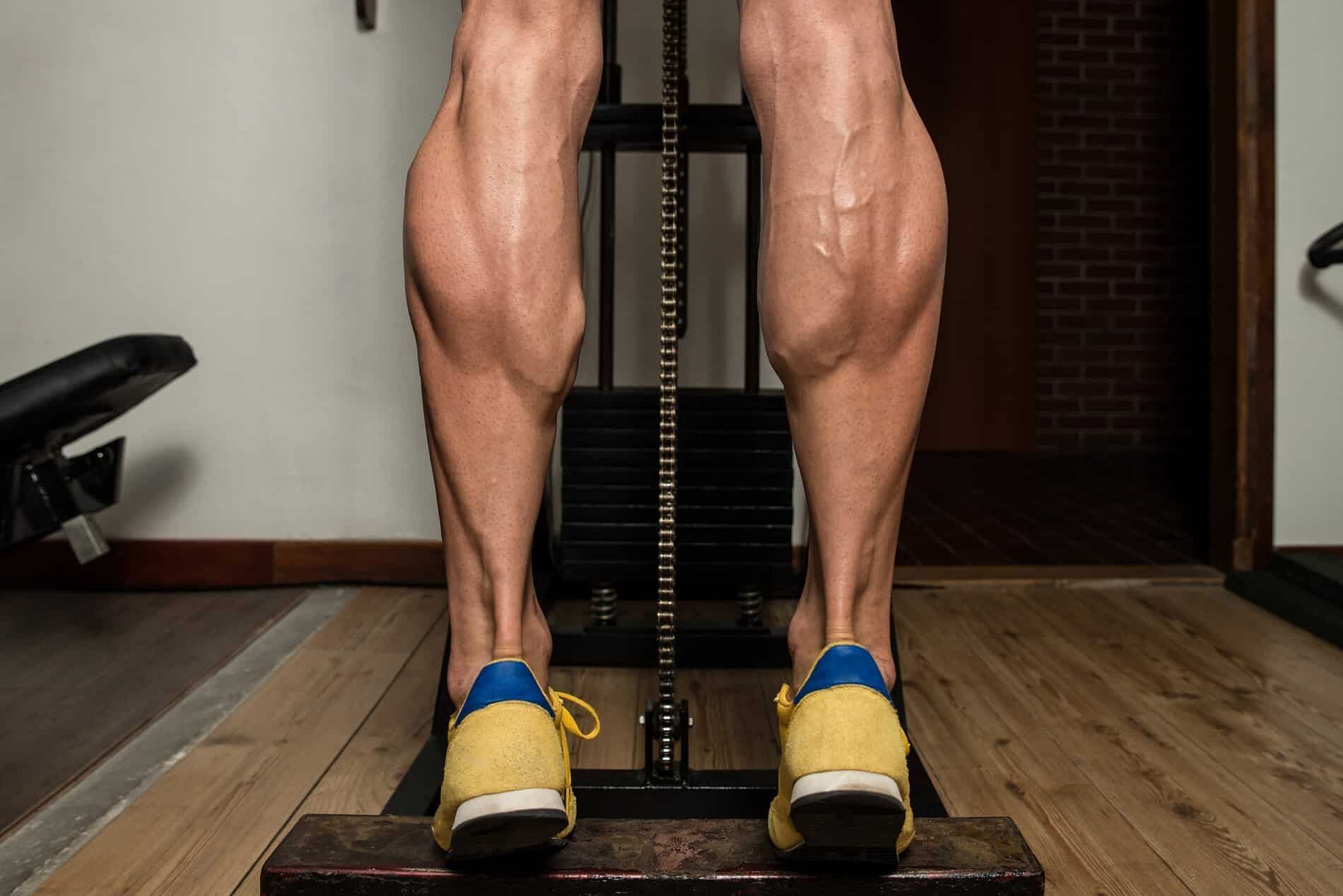 Calf raises to support lower leg muscles. (Image via Pinterest/ Bodybuildingmealplan.com)