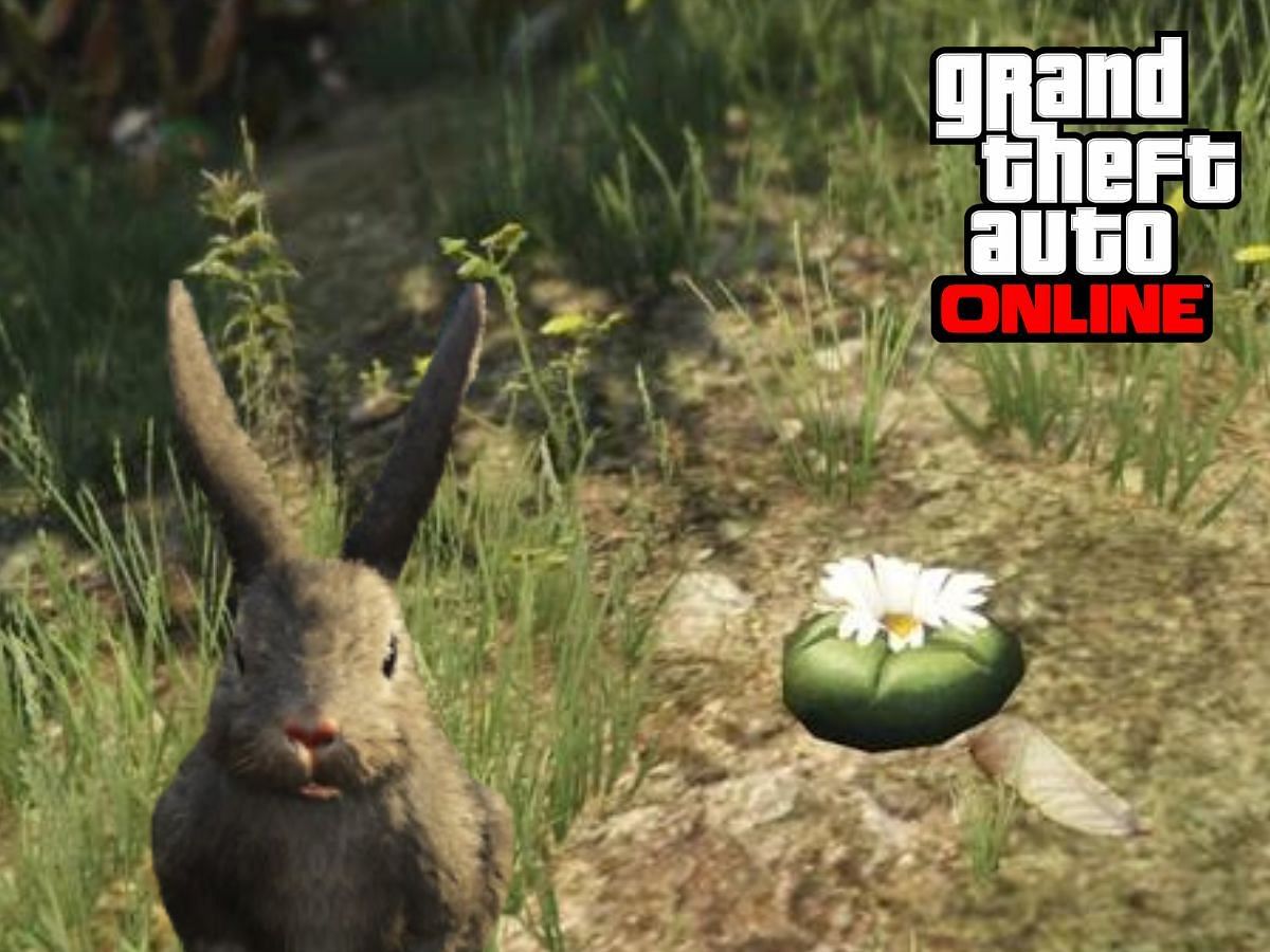 Find all Peyote Plants in GTA Online through this simple article guide (Image via Sportskeeda)