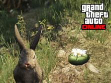 Where to find Peyote Plants in GTA Online: A location guide to collect them all