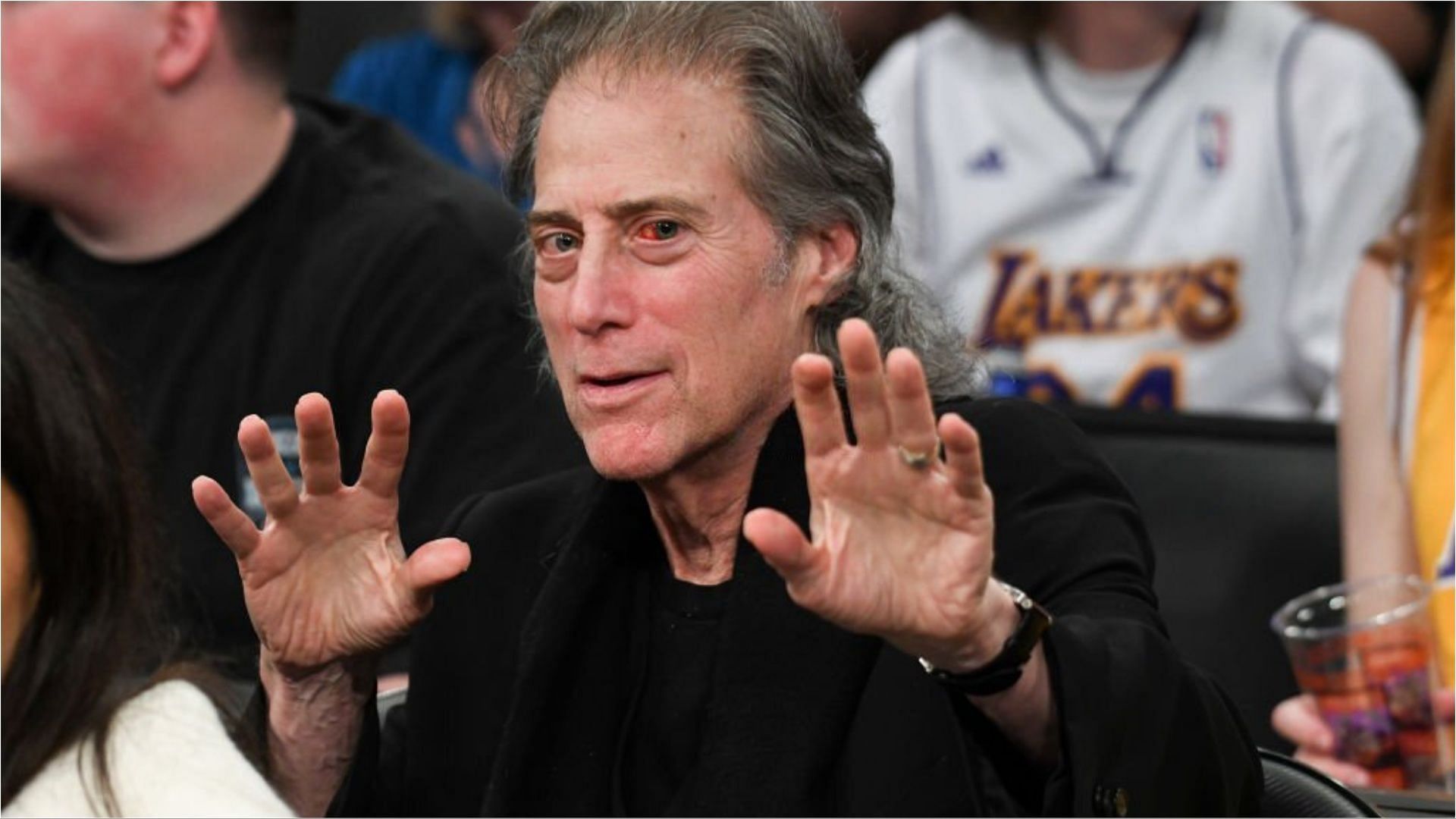 Richard Lewis has announced his retirement from standup comedy shows (Image via Allen Berezovsky/Getty Images)