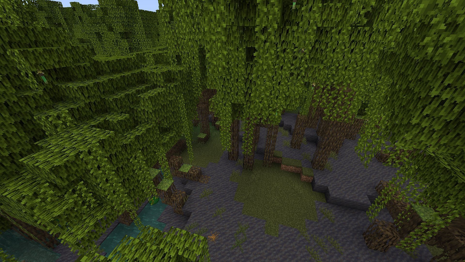 You first need to find a mangrove swamp where mangrove trees grow in Minecraft (Image via Mojang)
