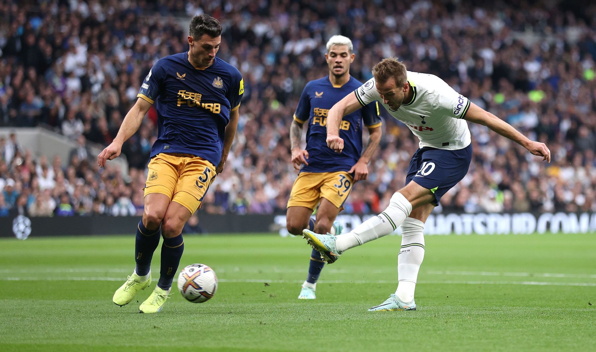 Tottenham Hotspur v Newcastle United - Premier League