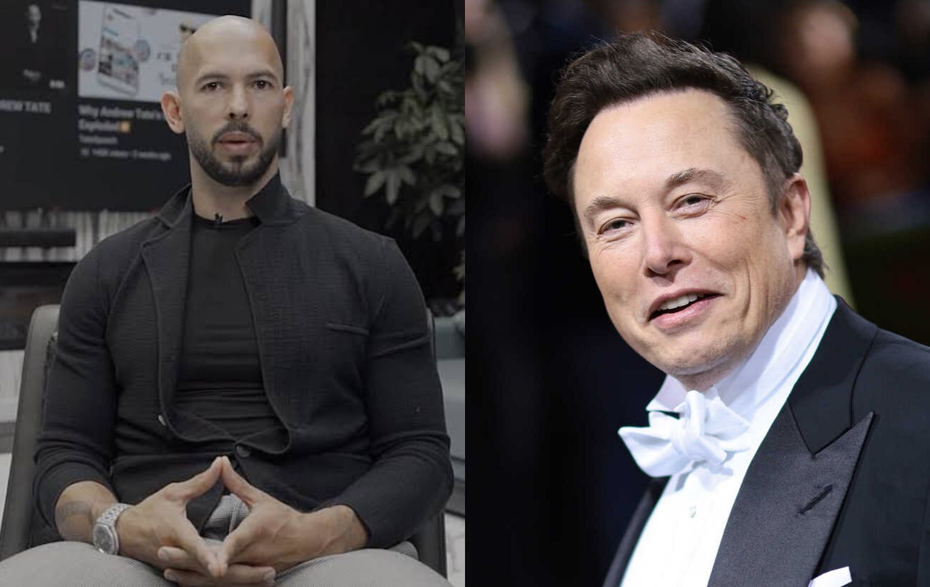 Andrew Tate (left) and Elon Musk (right)