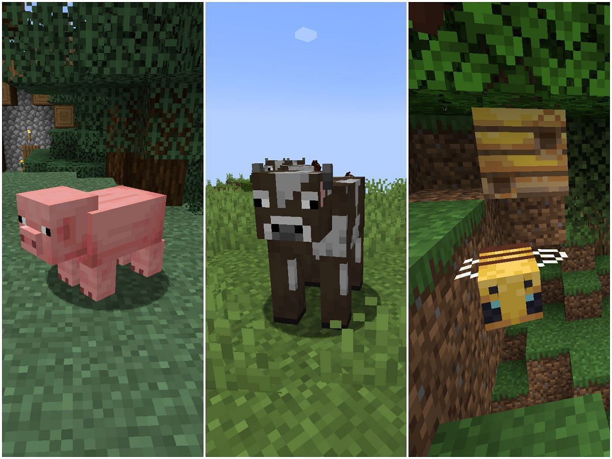 Some mobs drop useful items and are worth farming in Minecraft (Image via Sportskeeda)