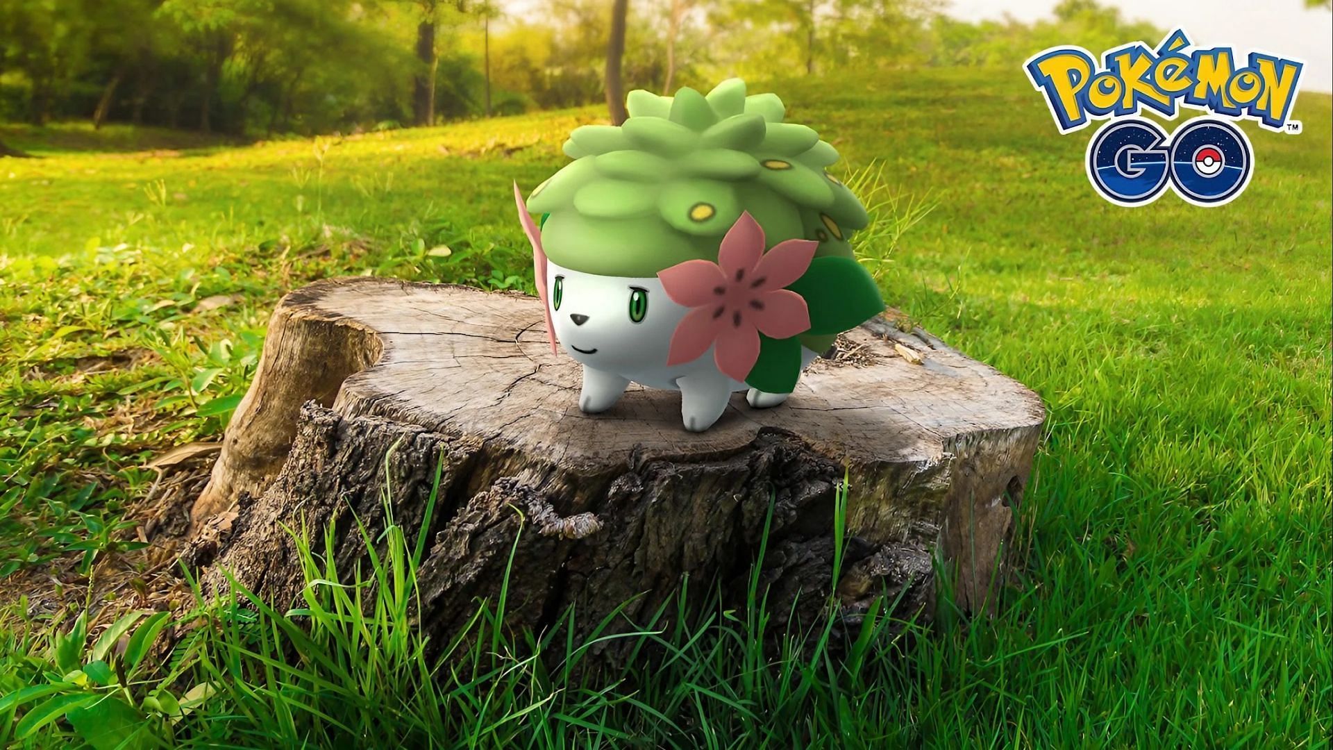 New Shaymin buddy animation! #pokemongo #pokemongotrainer #pokemongoda