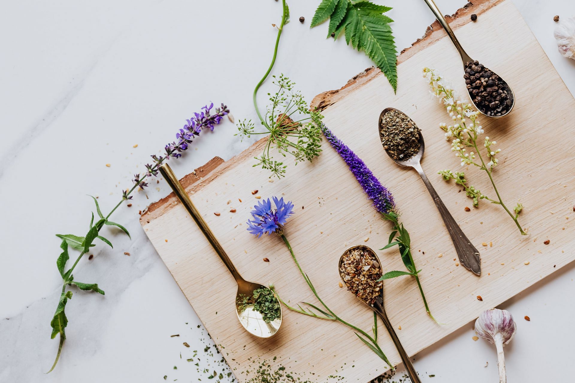 Hyssop benefits your health in many ways. (Image via Pexels/ Karolina Grabowska)