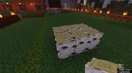 Birch logs (Image via Mojang)