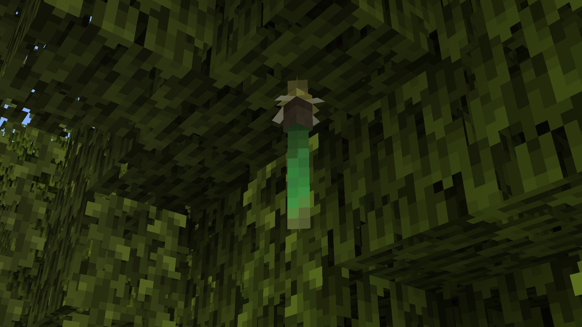 Mangrove propagules generate on mangrove trees under some leaf blocks in Minecraft (Image via Mojang)