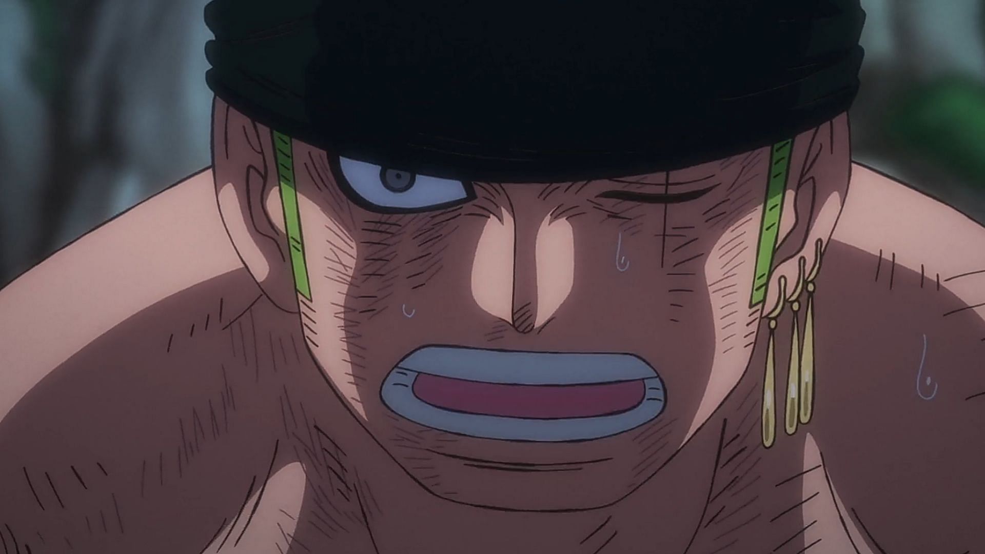 Zoro as seen in One Piece episode 1059 (Image via Toei Animation)
