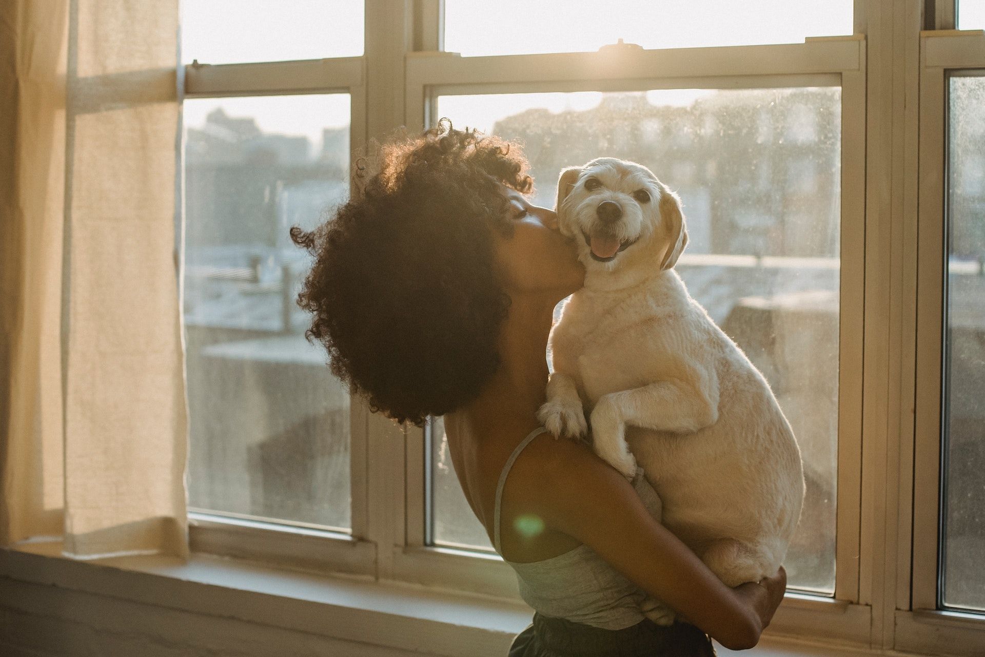 Having a dog reduces anxiety and stress. (Photo via Pexels/Samson Katt)