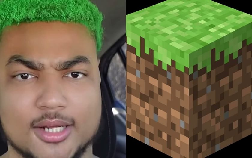 I made Minecraft Block Facts skin in REAL LIFE 