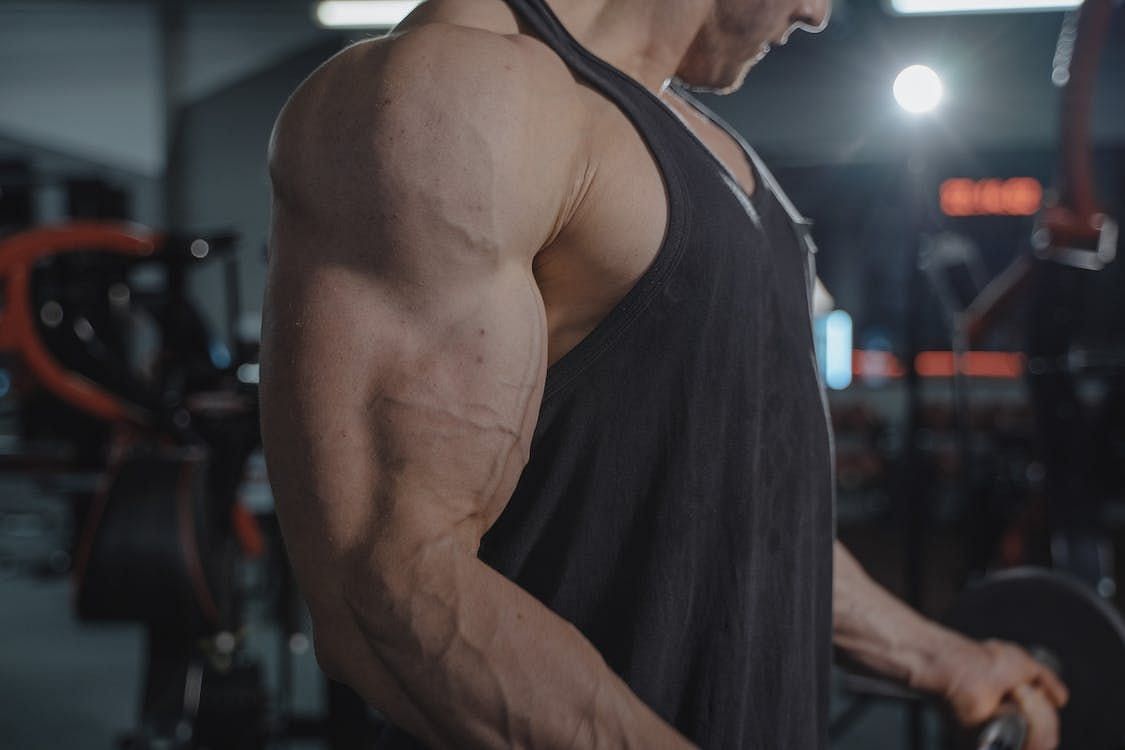 Muscles shorten during concentric contraction. (Image via pexels/Tima Miroshnichenko)