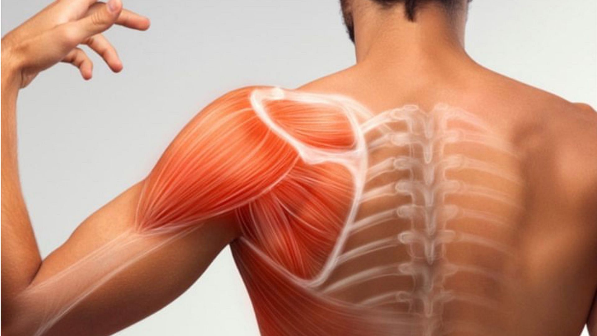 Injuries to rotator cuff muscles are quite common. (Photo via Instagram/ichiroclinics)