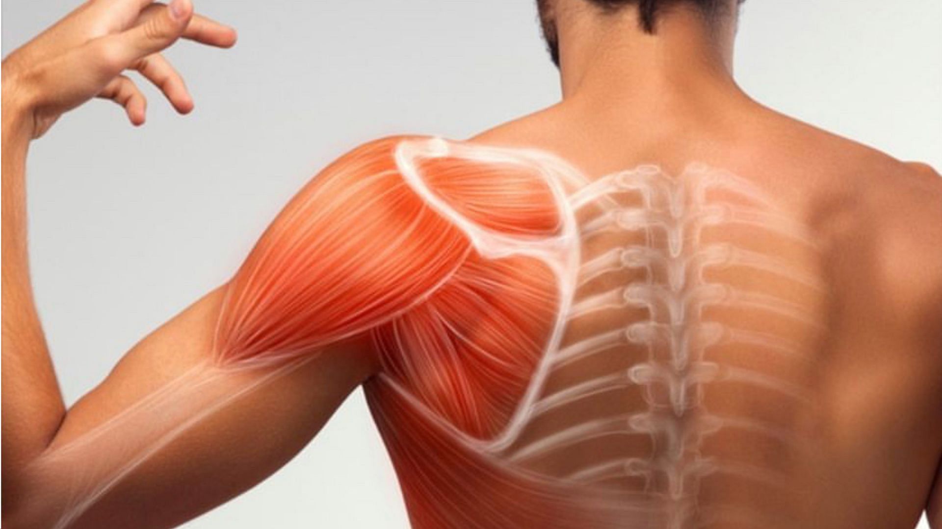 rotator-cuff-pain-what-are-the-major-causes-and-symptoms