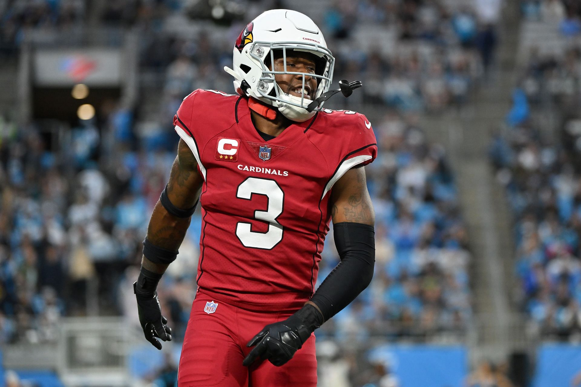 Arizona Cardinals v Carolina Panthers