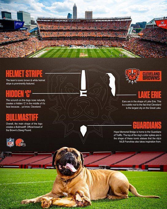 Cleveland Browns new dog logo selected