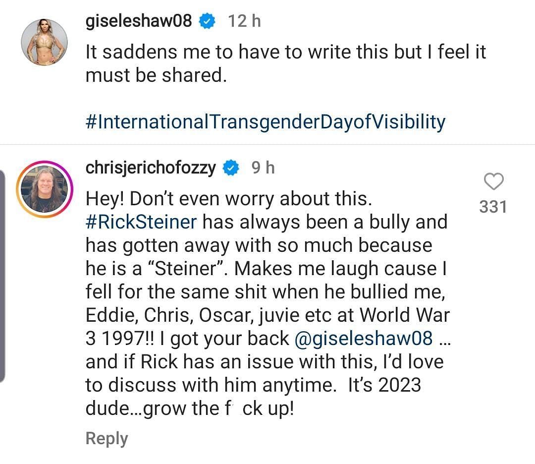 Chris Jericho blasts Rick Steiner and calls him a bully.