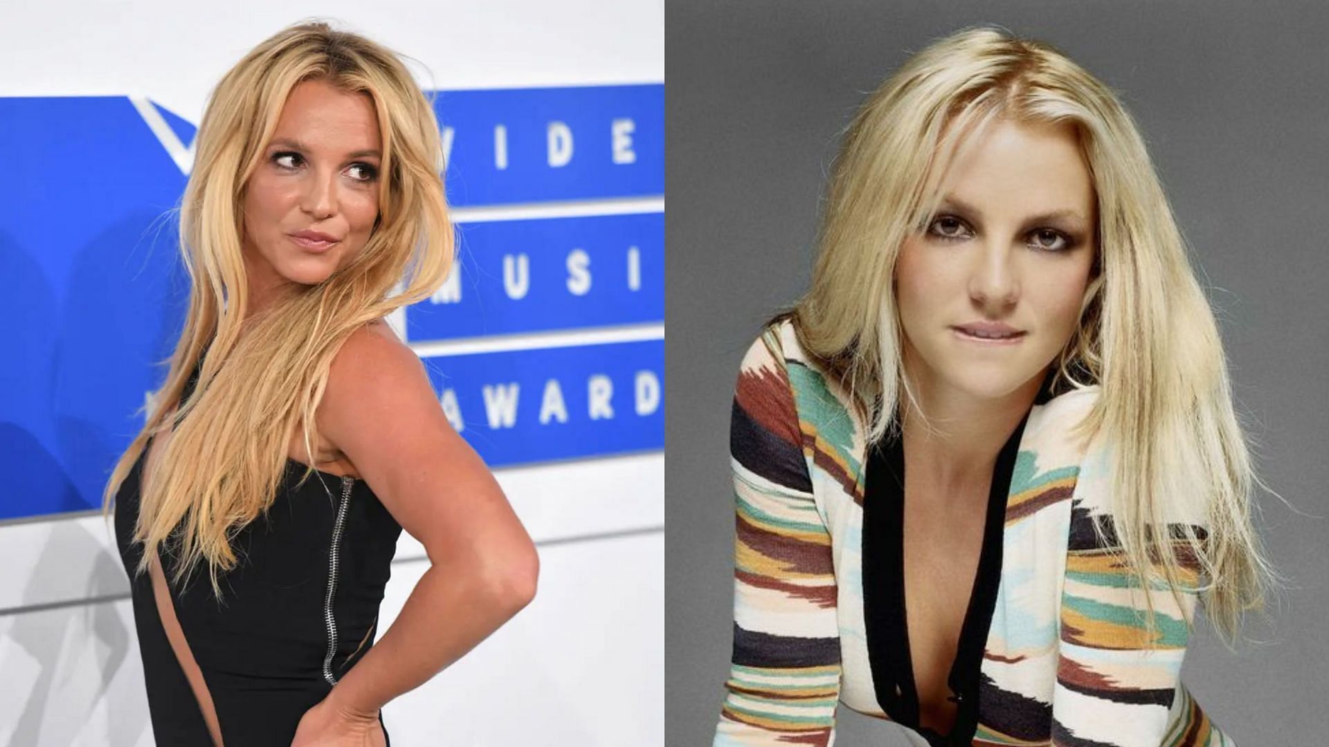 Britney Spears told a WWE legend that he was her hero