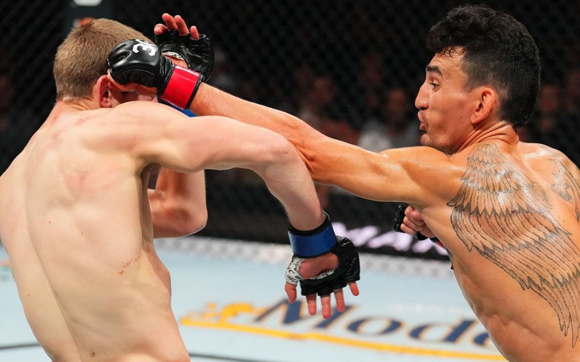 Max Holloway vs. Arnold Allen [Image courtesy: @ufc on Instagram]