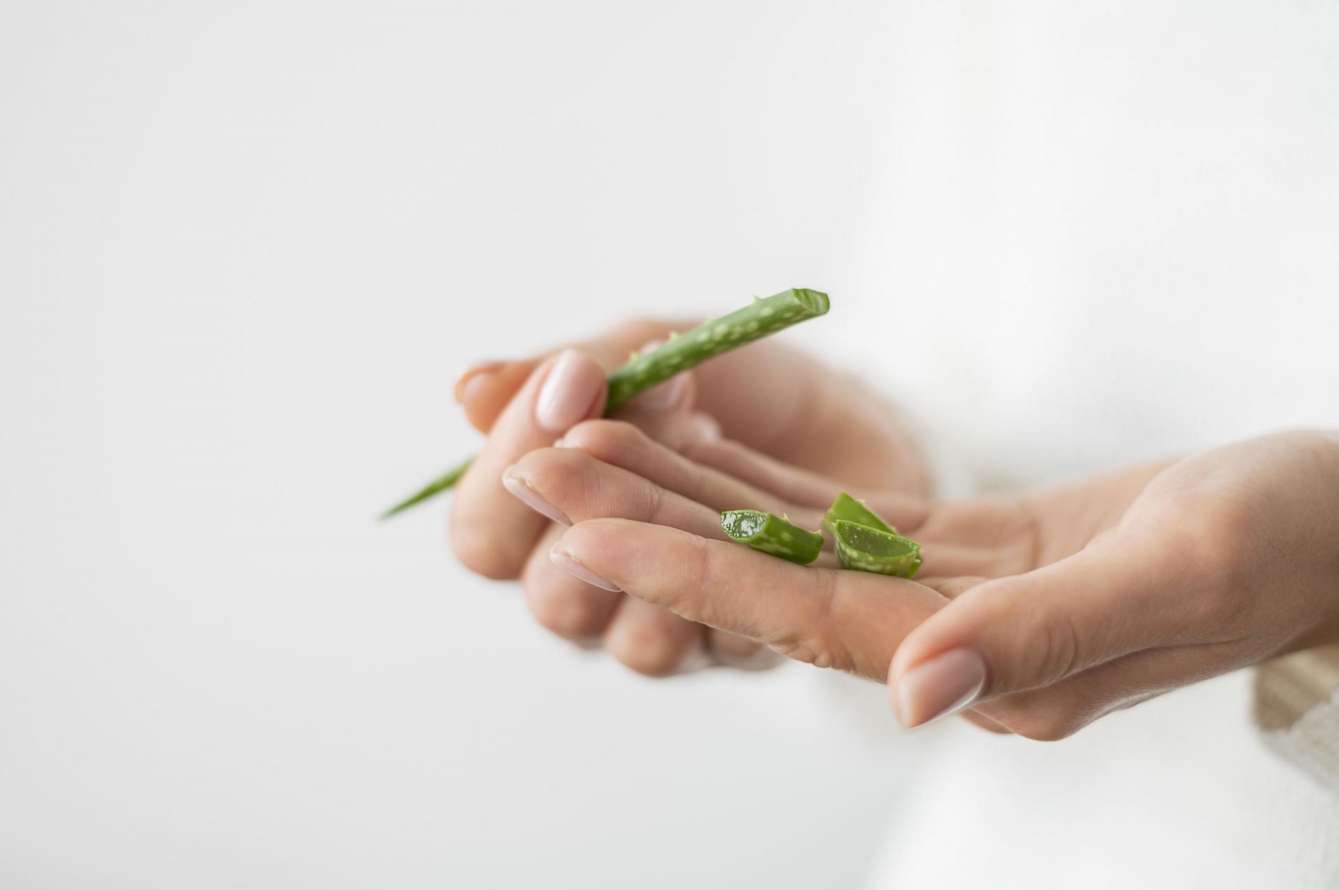 Aloe vera for face spots and hyperpigmentation. (Image via Freepik)