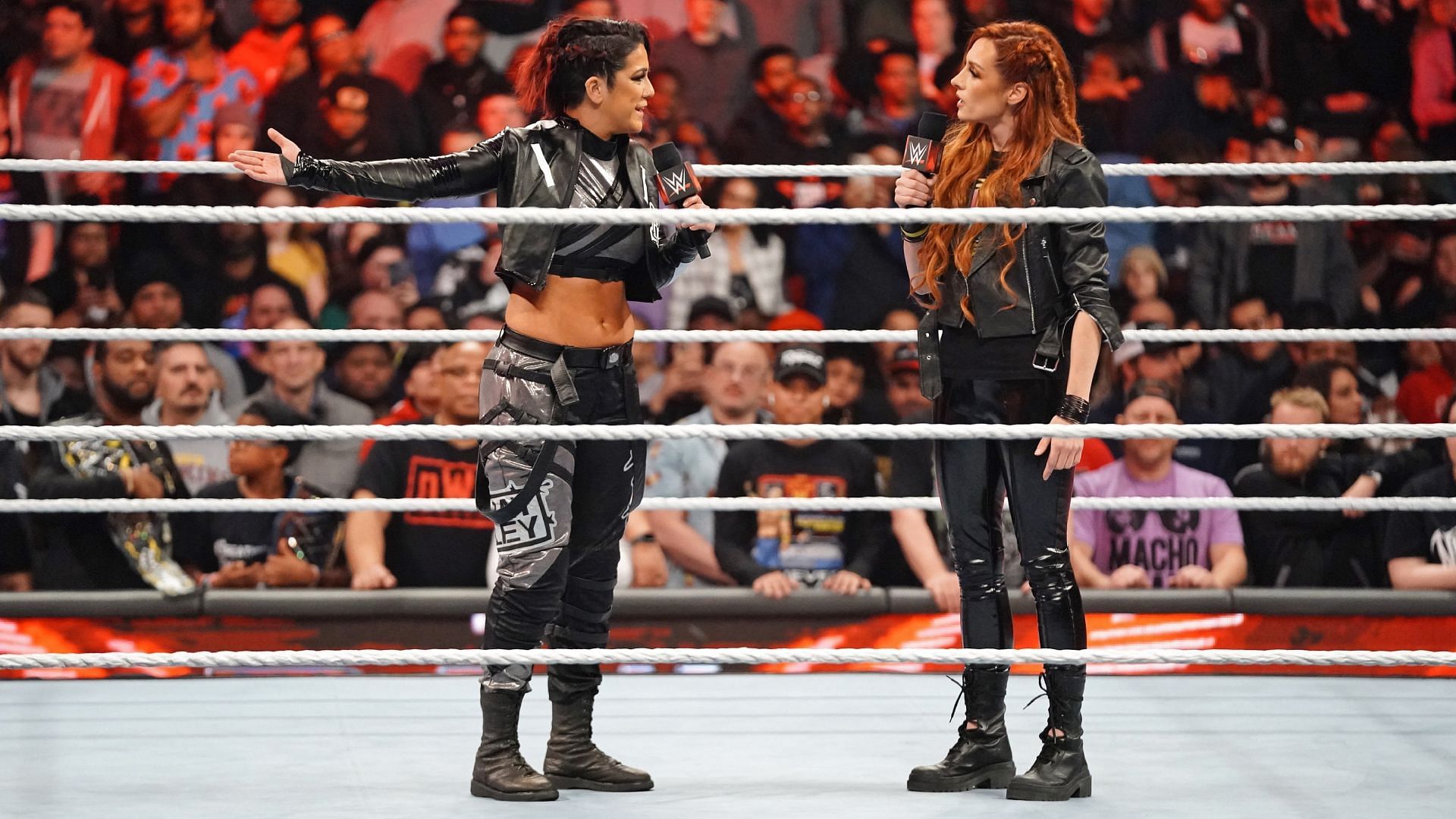 Becky Lynch On Winning The WWE Women's Tag Titles With Lita: I Think That  Was Never Meant To Be The Plan