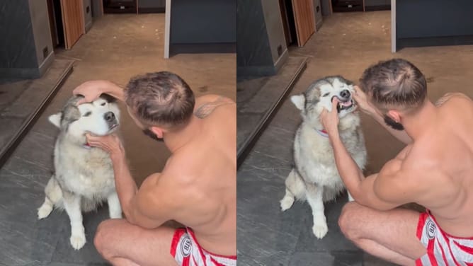 Caught in the act: Fans destroy Andrew Tate for projecting his dog as a wolf on Twitter