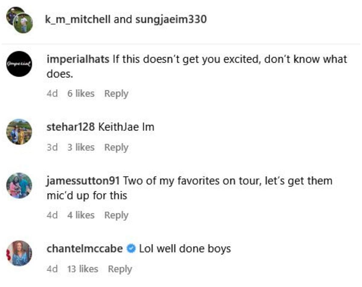 Screengrab from Mitchell&#039;s comments section