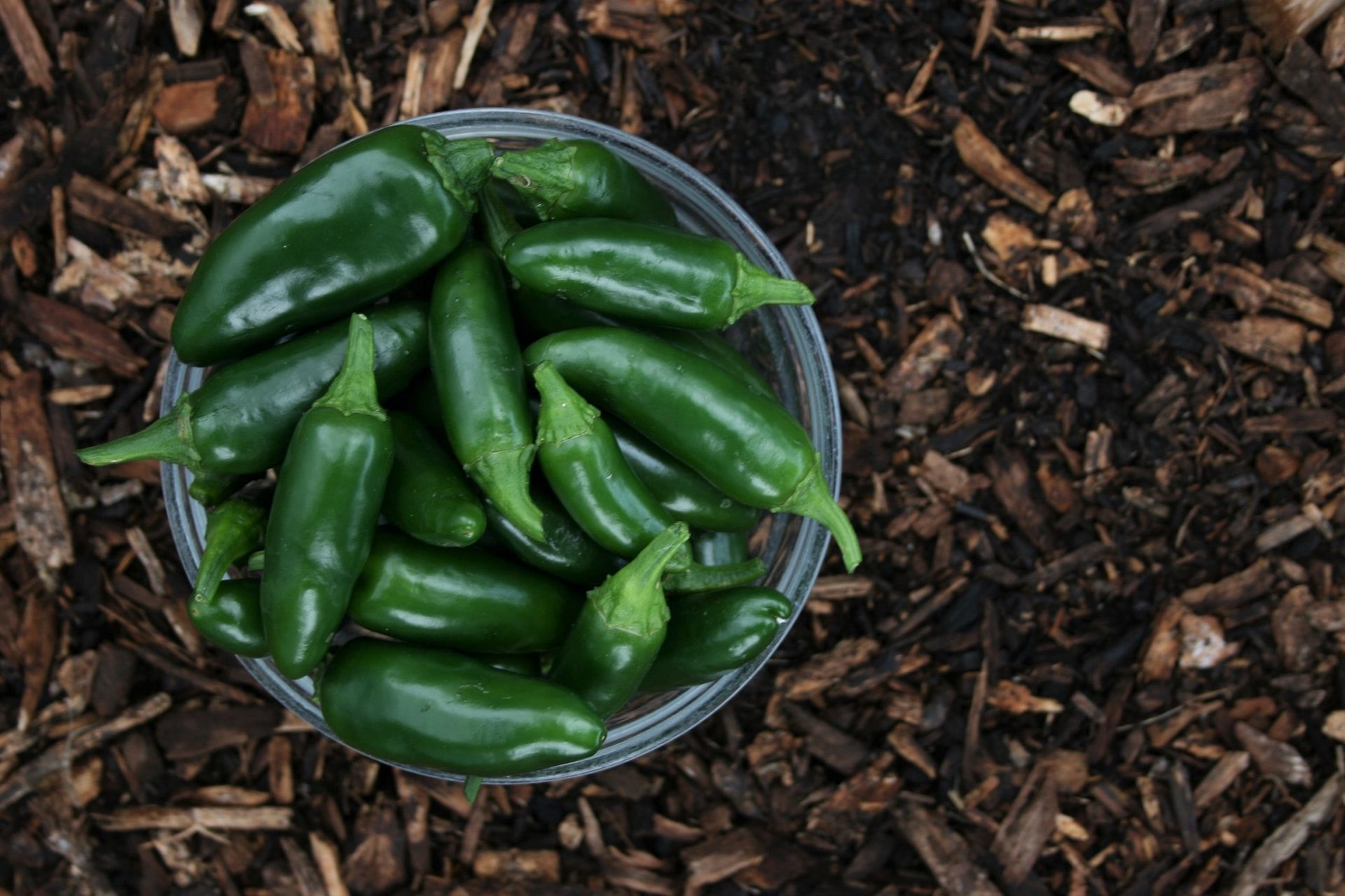 Jalapenos (Photo via Phillip Larking/Unsplash)