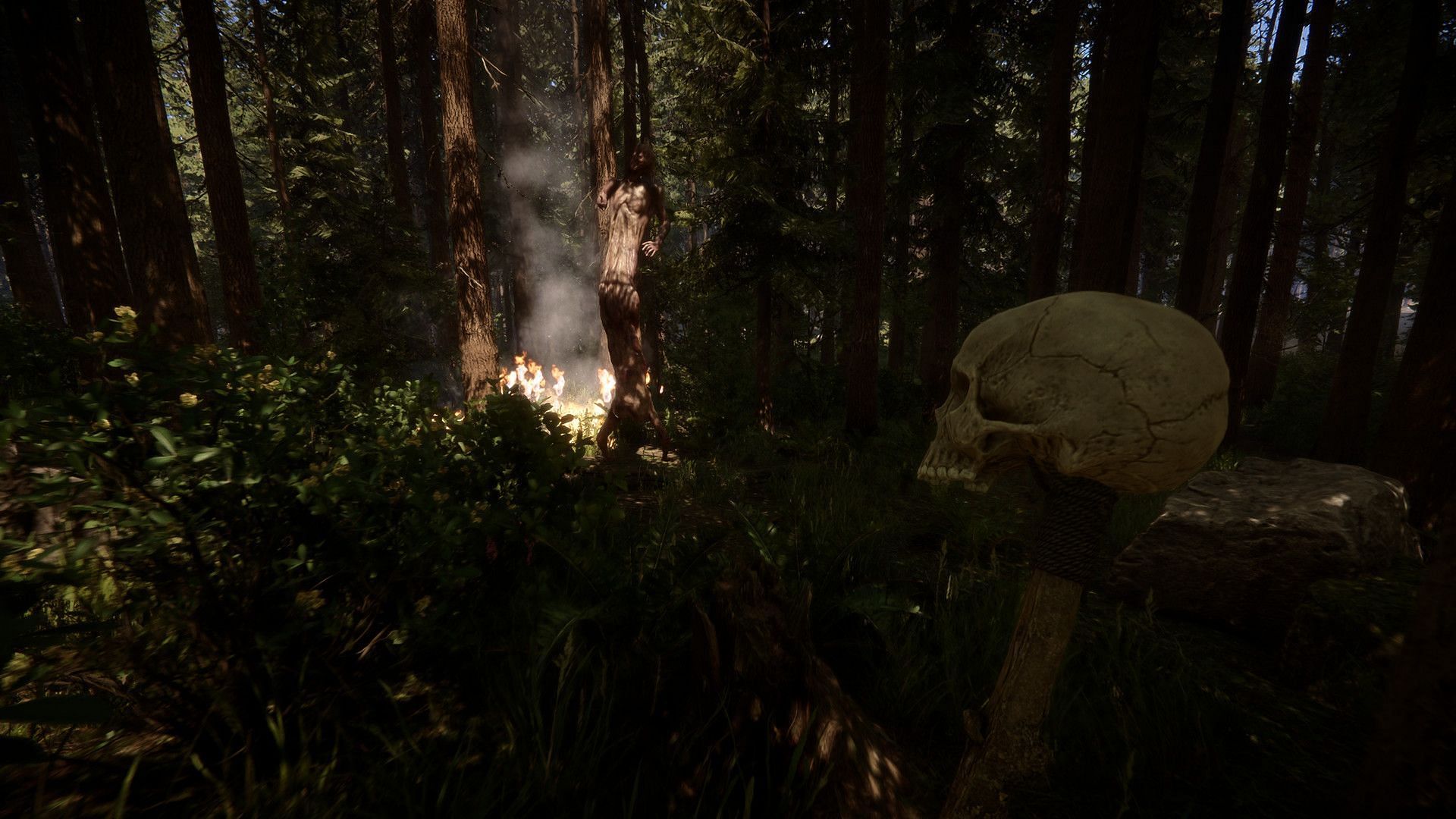 Sons Of The Forest's latest update makes Kelvin more helpful, cannibals  more creepy, and birds faster