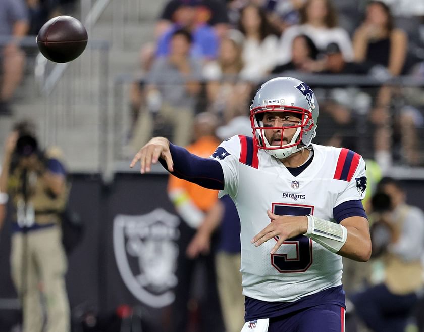 Raiders sign quarterback Brian Hoyer