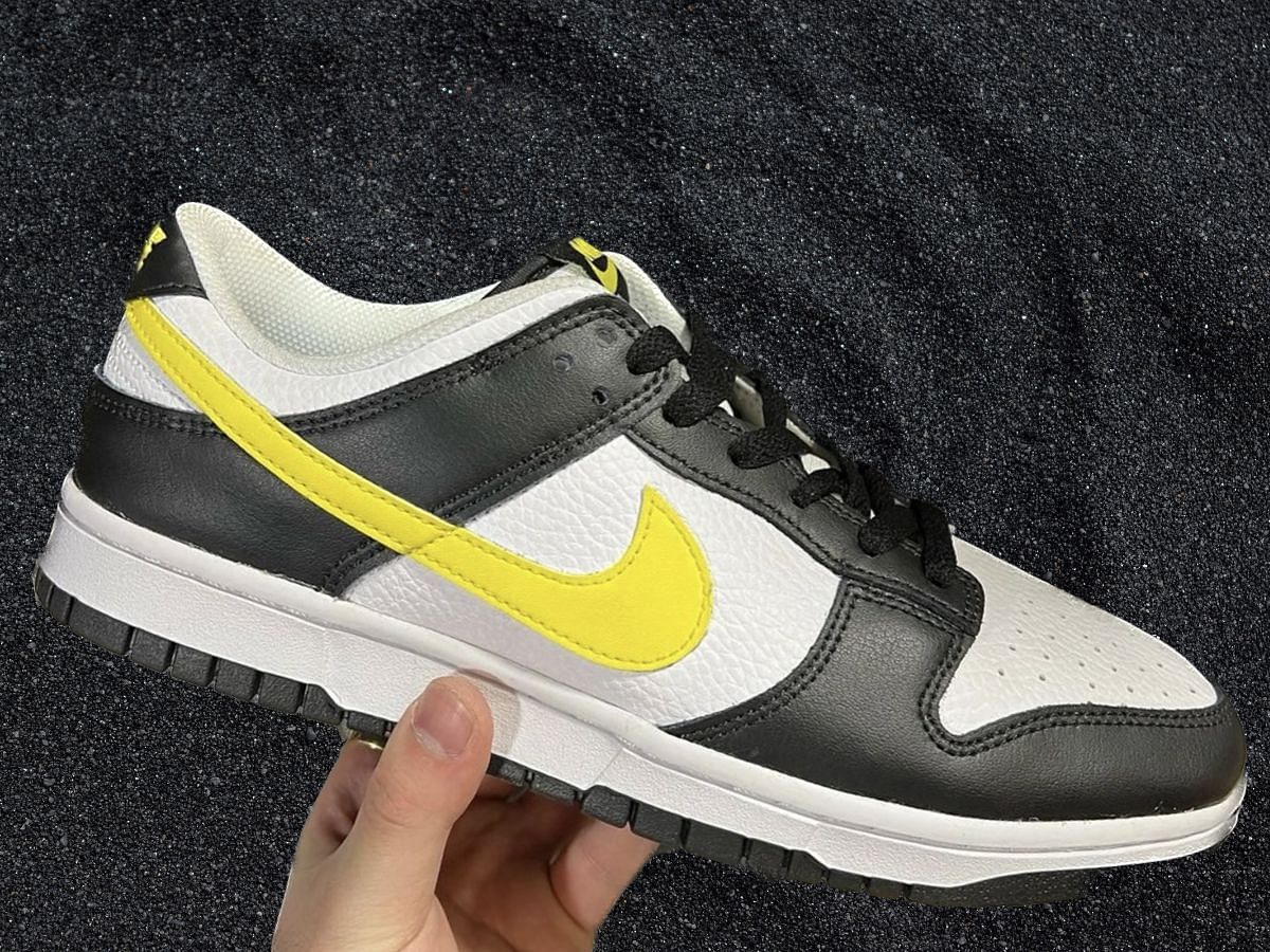 Nike Dunk Low shoes (Image via Instagram/@masterchefian)