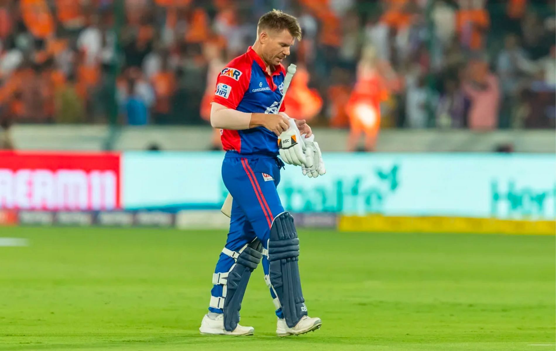 David Warner has scored 306 runs from seven games in IPL 2023. (Pic: IPLT20.com)