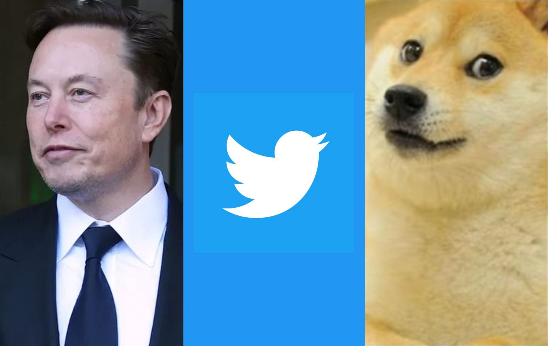 Doge fans highlight possible reason behind the recent Twitter logo change (Image via Getty/Twitter)