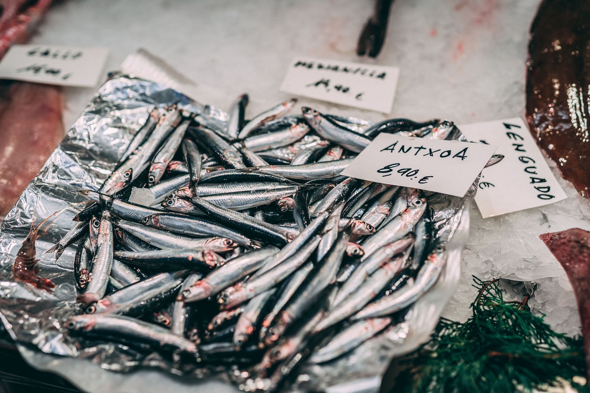 Anchovies are nutritious and healthy. (Image via Unsplash/I&ntilde;igo De la Maza)