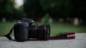 6 best AI-enabled cameras for professional photography
